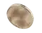 CorevestAI handelsalgoritme